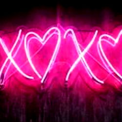 Raven Lane 🌸 photo