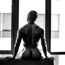 Jay photo