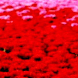 Explore Baby Doll's Enchanting World on OnlyFans