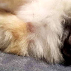 Mizzi Mie 🚀 photo