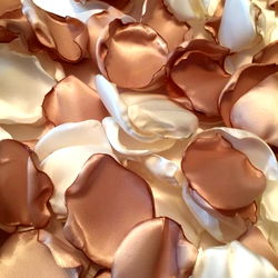 𝐋𝐲𝐫𝐚 𝐀𝐦𝐨𝐫𝐫 photo