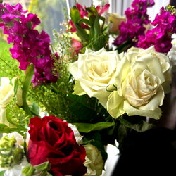 𝔅𝔞𝔟𝔶 𝔭𝔞𝔤𝔢 photo