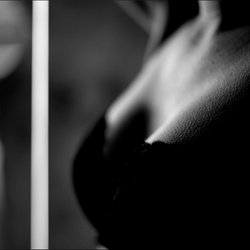 Dayan Rosales photo