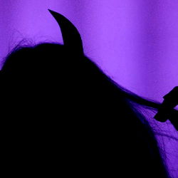 Chelsie’s OnlyFans Catalogue Profile