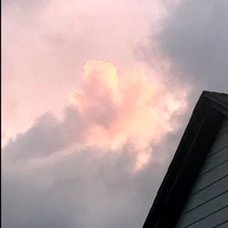 Riley Rox | OnlyFans Catalogue Profile