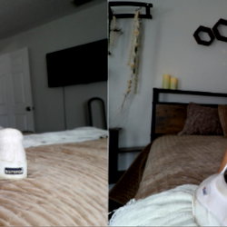 Ivory Soles - Model Page