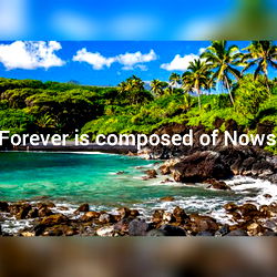 Lexii - Top Model from California