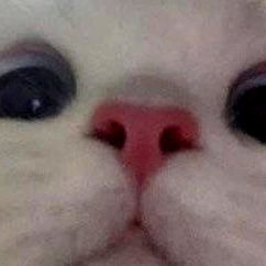 Bunny_vip's Exclusive OnlyFans Profile