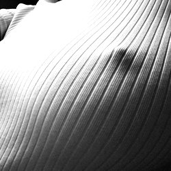 En douceur photo