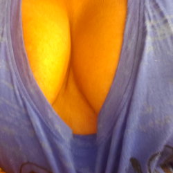 Veena photo