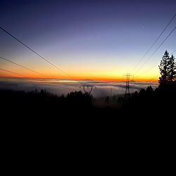 Greg McKeon: Top Free Man with Muscular Chest and Shirtless