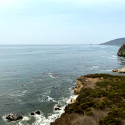 u40411718 photo