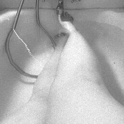 Miss beautiful photo