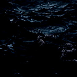 Kate’s ERASED 🖤🌊🦈 photo
