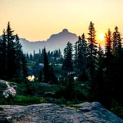 ForestCliff photo