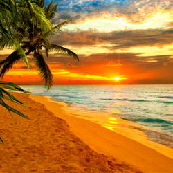 Ladybug's OnlyFans Profile Review