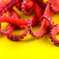 Glitch 💿 | Free PPV account photo