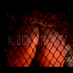 Liberty🦨 photo