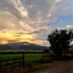 𝕓a𝕓y 𝕘. photo