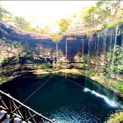 Vivienne Blaise photo