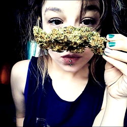 Homegrown Zen photo