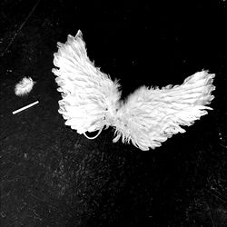 Brittany Furlan Lee photo