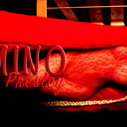 THE DOMINO PRESLEY photo