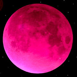 nevaeh ૮꒰ ˶• ༝ •˶꒱ა ♡ photo