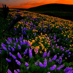 Ari Berry 🍓 photo