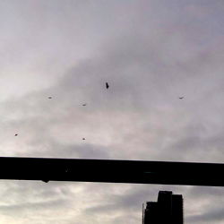 Manuel Vega Orellana photo