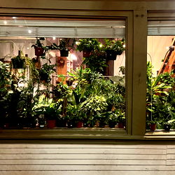 Isaih Valentiล photo