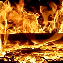 🦇𝓐𝓾𝓻𝓮𝓵𝓲𝓪 𝓑𝓾𝓷𝓷𝔂 🦇 photo