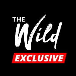 The Wild Exclusive (VIP) photo