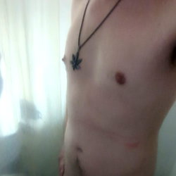 Jay photo