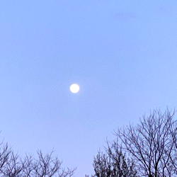 Winter Lee photo