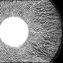 𝕾𝖆𝖑𝖊𝖒 𝕸𝖔𝖔𝖓 🌙 photo