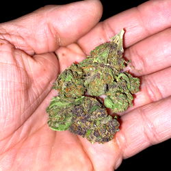 #1_Johnny_Blaze: Passionate American Latino on OnlyFans