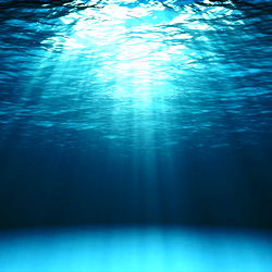 Peech Fuzz's OnlyFans Catalogue: Your Ultimate Enticement