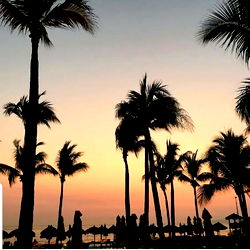 TheofficialEgypt | Model Profile | Only Fans