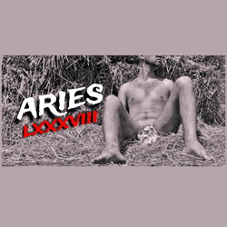 Aries LXXXVIII 🇮🇹 photo