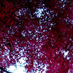 Ghostwriter Austen photo