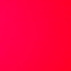 florida man 😈 photo