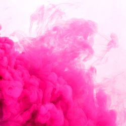 Lena: The Alluring OnlyFans Profile | A Comprehensive Look