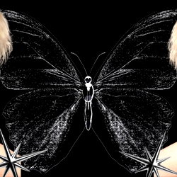 Nicole Fallen photo