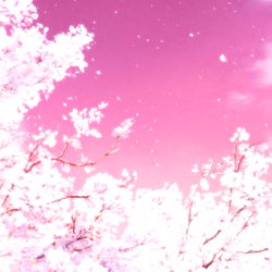 Annie's OnlyFans Profile - The Sweetest Tiny Cuteness