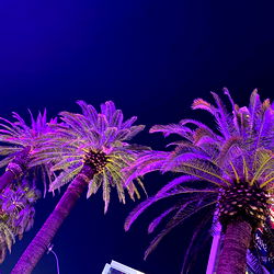 TsPari$! - The Colorado Springs Goddess on OnlyFans