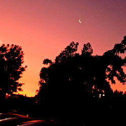 Ari's OnlyFans: Your Ultimate Guide to Passion and Entertainment