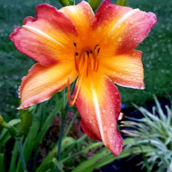 Misty Brett's OnlyFans Catalogue