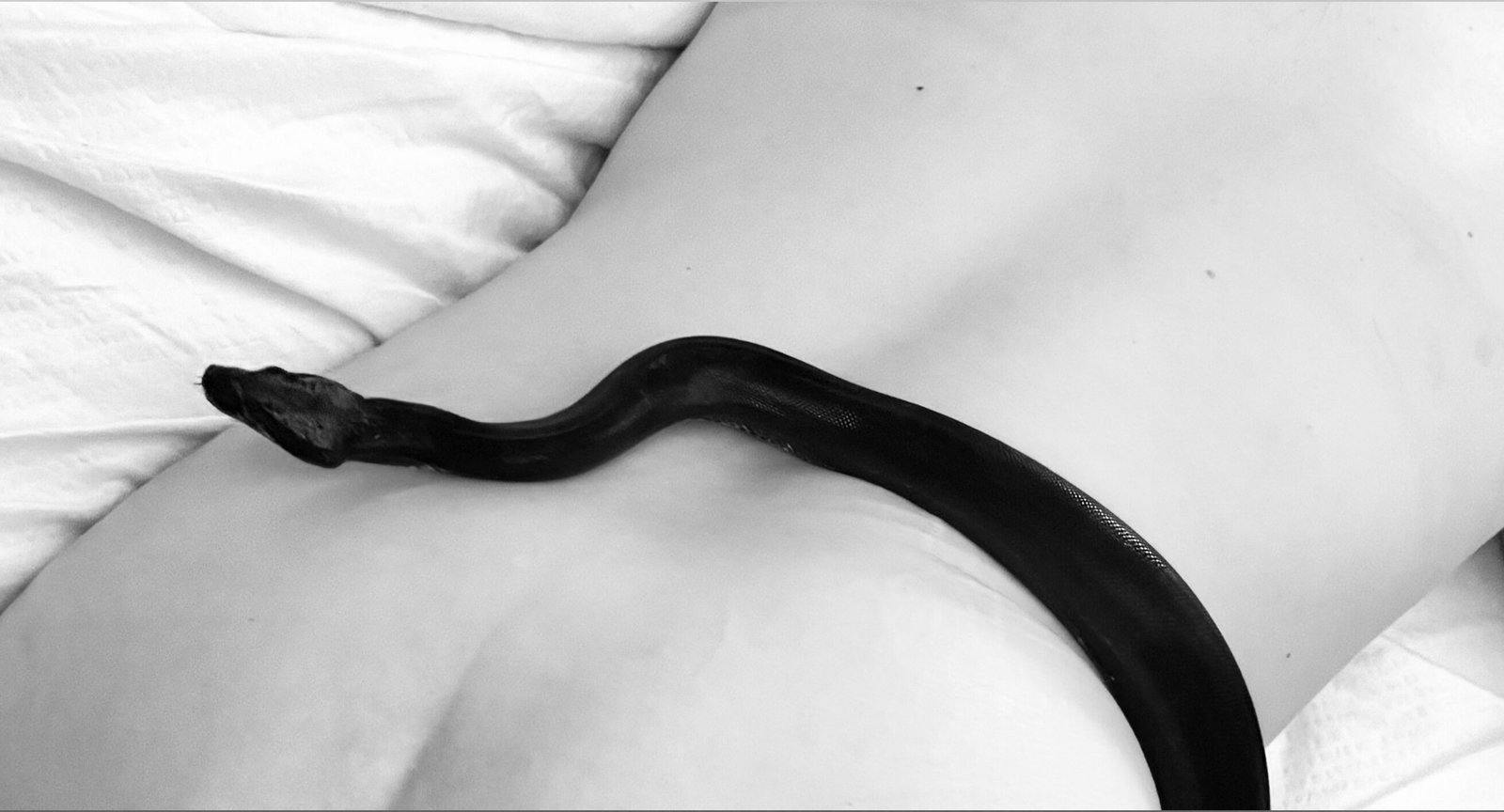 TIA TATE 🖤 photo