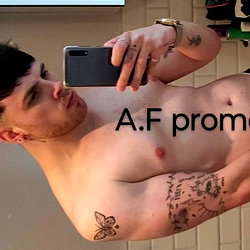 Alfienorth photo